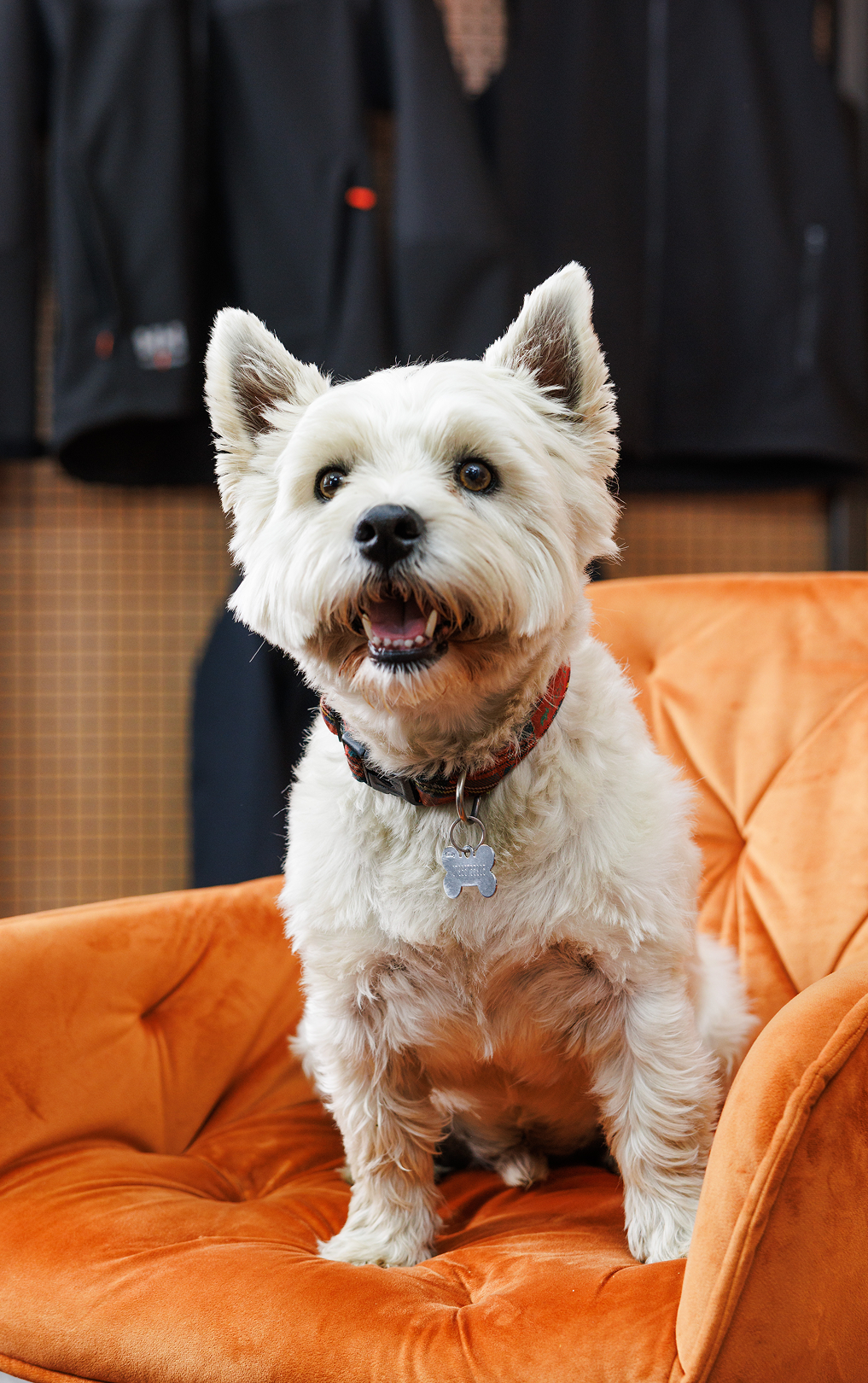 Our employees at work 2