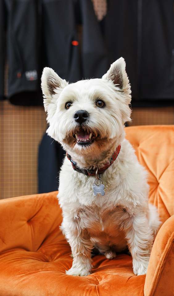 Our employees at work 2